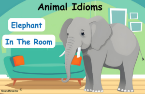 Read more about the article 140 Popular Animal Idioms: Meaning, Origin, Example