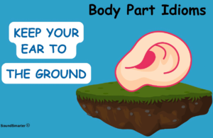 Read more about the article 130 Popular Body Part Idioms: Meaning, Origin, Example