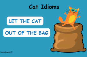 Read more about the article 22 Popular Cat Idioms: Meaning, Origin, Example
