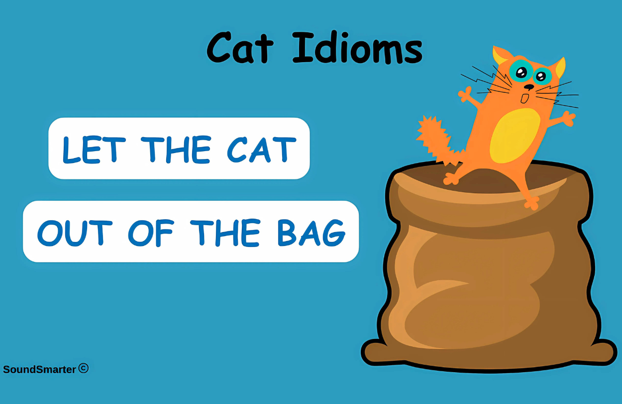 Read more about the article 22 Popular Cat Idioms: Meaning, Origin, Example