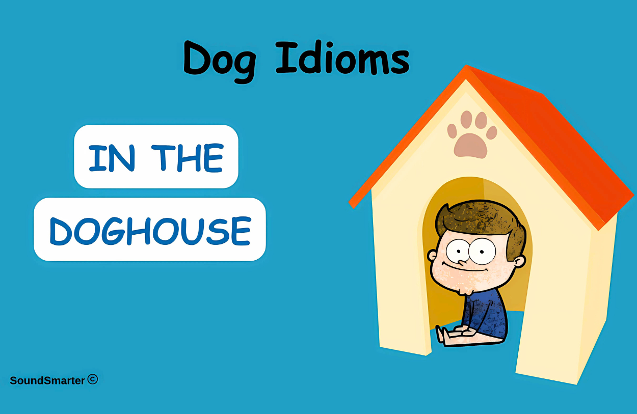 Read more about the article 30 Popular Dog Idioms: Meaning, Origin, Example